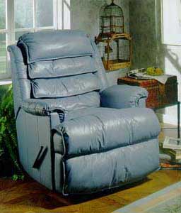 Casual Recliner Photo