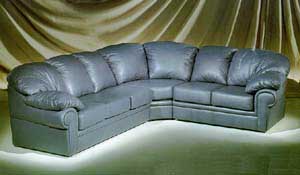 Casual Sectional Photo