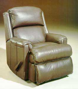 Contemporary Recliner Photo
