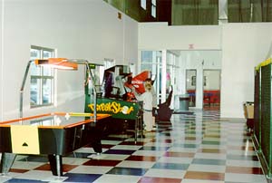 air hockey table/games
